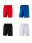 Preview: Puma Liga Shorts 12-er Set Erwachsene