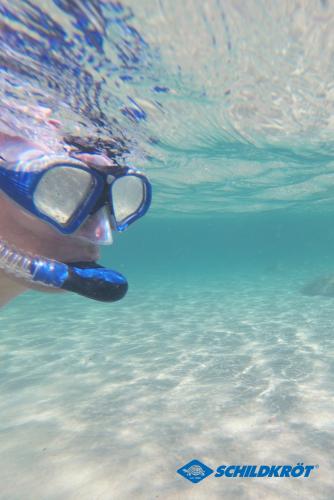 Preview: Schnorchel Set PALAU (2-teilig, + Meshbag) - Erwachsene