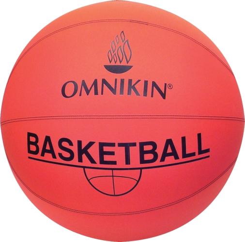 Omnikin Basketball