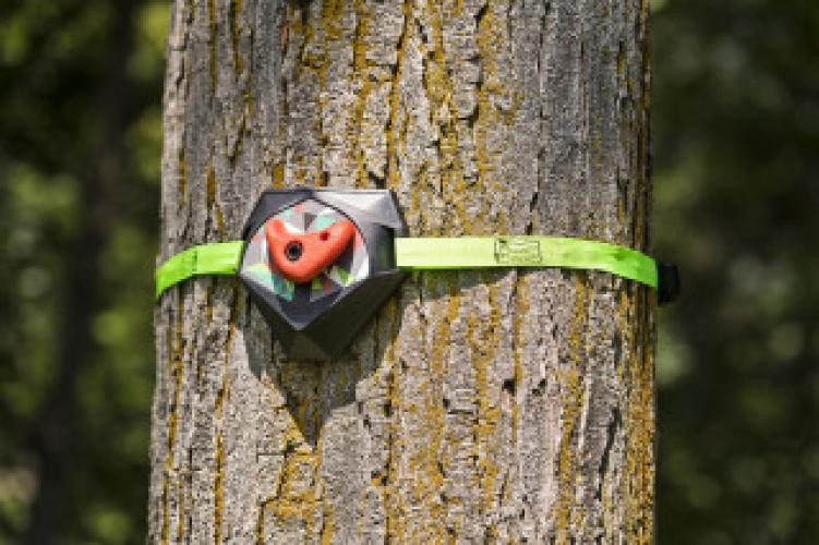 Preview: Ninja Treeclimbers