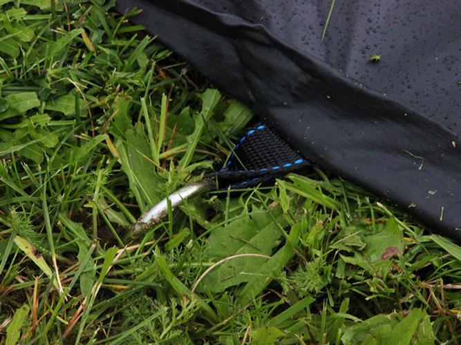 Preview: EXIT ebenerdiges Trampolin Abdeckplane - ø366cm