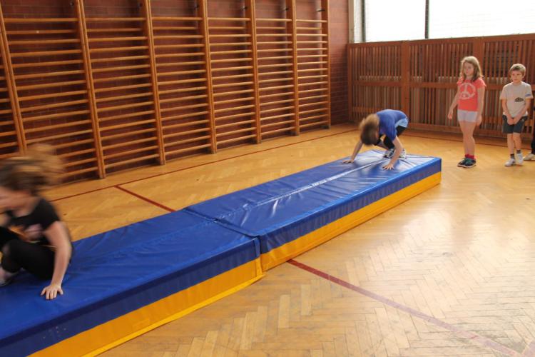 Preview: RinoSet Programm