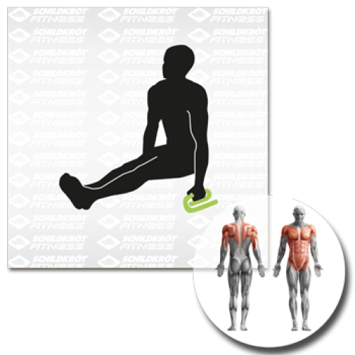 Schildkröt Push-up Bars