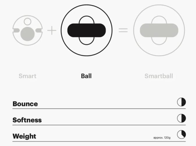 SmartBall (Starter Set)