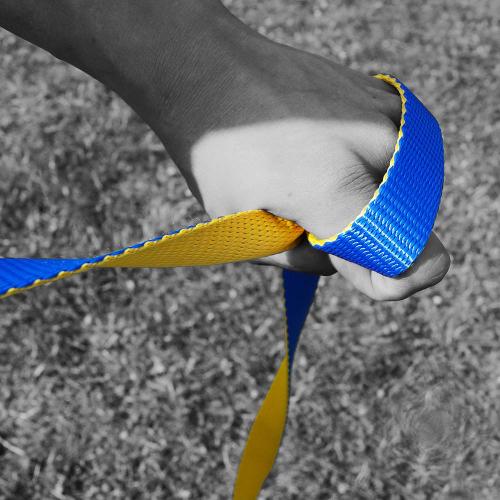 Gibbon Slackline Flow Line Treewear Set 25 m - Blau