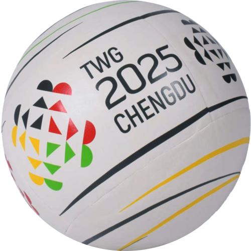 Faustball Competition Premium Herren