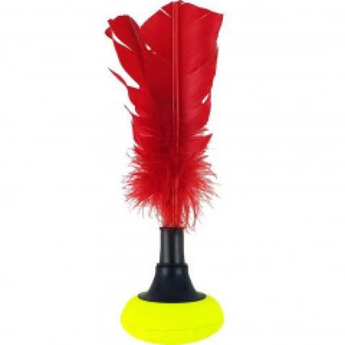 Indiaca-Ball Turnier Bremshey