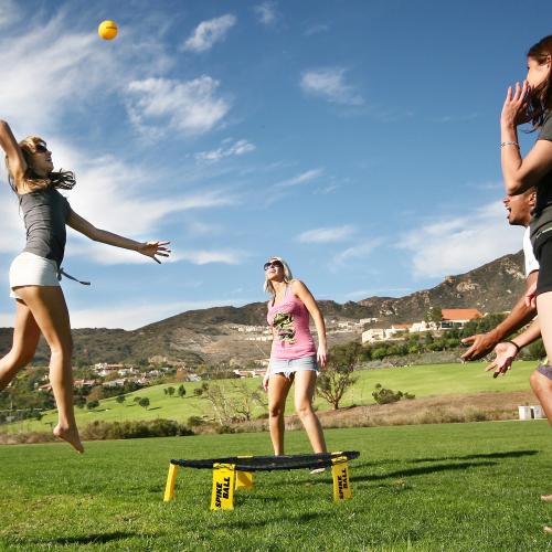 Spikeball Der Trendsetter