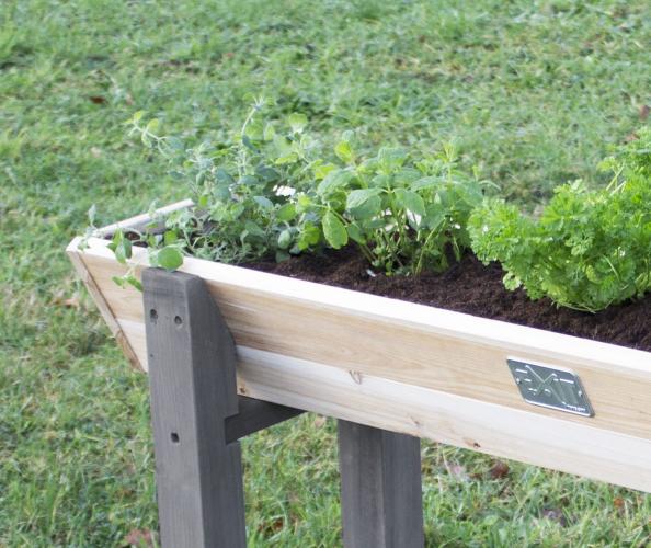 EXIT Aksent Hochbeet M - 115x28x16cm