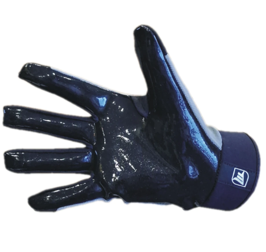 Floorball-Torwarthandschuhe MPS EVO PG – Schwarz/Grau