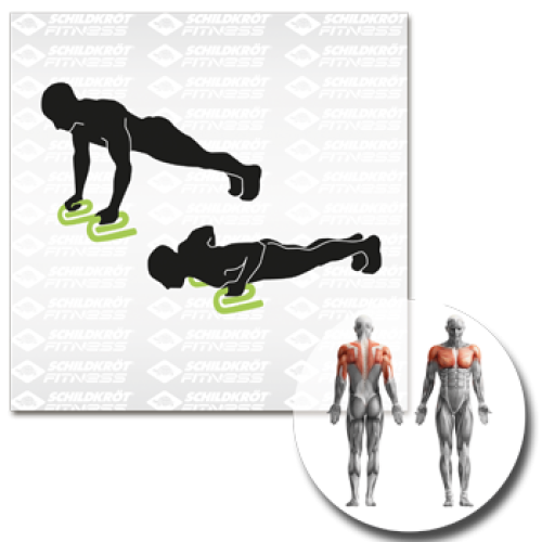 Schildkröt Push-up Bars